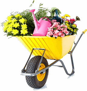 Why Choose Us Inner.png