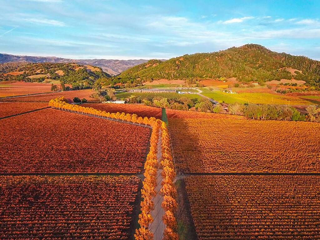 🍂 Sonoma County Fall Plumbing Checklist