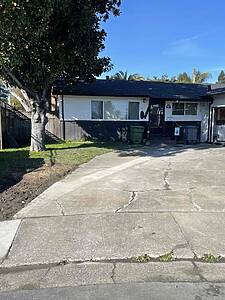 Front view of a single-story house with a large tree on the left, a driveway, and trash cans by the entrance on a sunny day.
