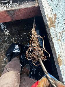 Person standing over an open manhole or trench with a rusted coil of wire and tangled roots reaching into the dark space below.